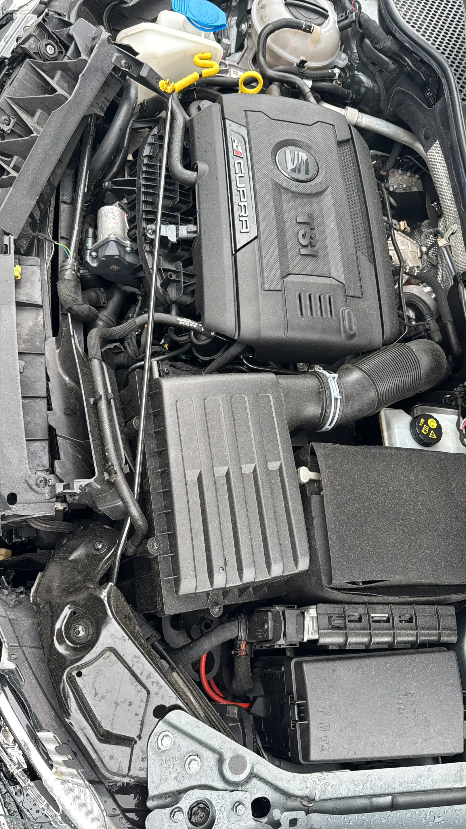 CUPRA Leon Cupra Allrad — photo 5