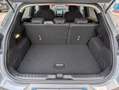 Ford Puma 1.0T 125cv hybrid Titanium SOLO 4.000 km !!! Grigio - thumbnail 9