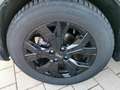 Dacia Sandero Stepway Extreme+ TCE 110 [Sitzheizung/Navi/Kamera] Schwarz - thumbnail 13