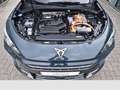 CUPRA Terramar 1.5 VZ e-Hybrid Klima Rückfahrkamera Sitzheizung Blau - thumbnail 14