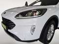 Ford Kuga 1.5EB Titanium+NAVI+TEMPO+KAMERA+CARPLAY Wit - thumbnail 8