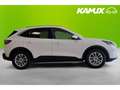 Ford Kuga 1.5EB Titanium+NAVI+TEMPO+KAMERA+CARPLAY Wit - thumbnail 3