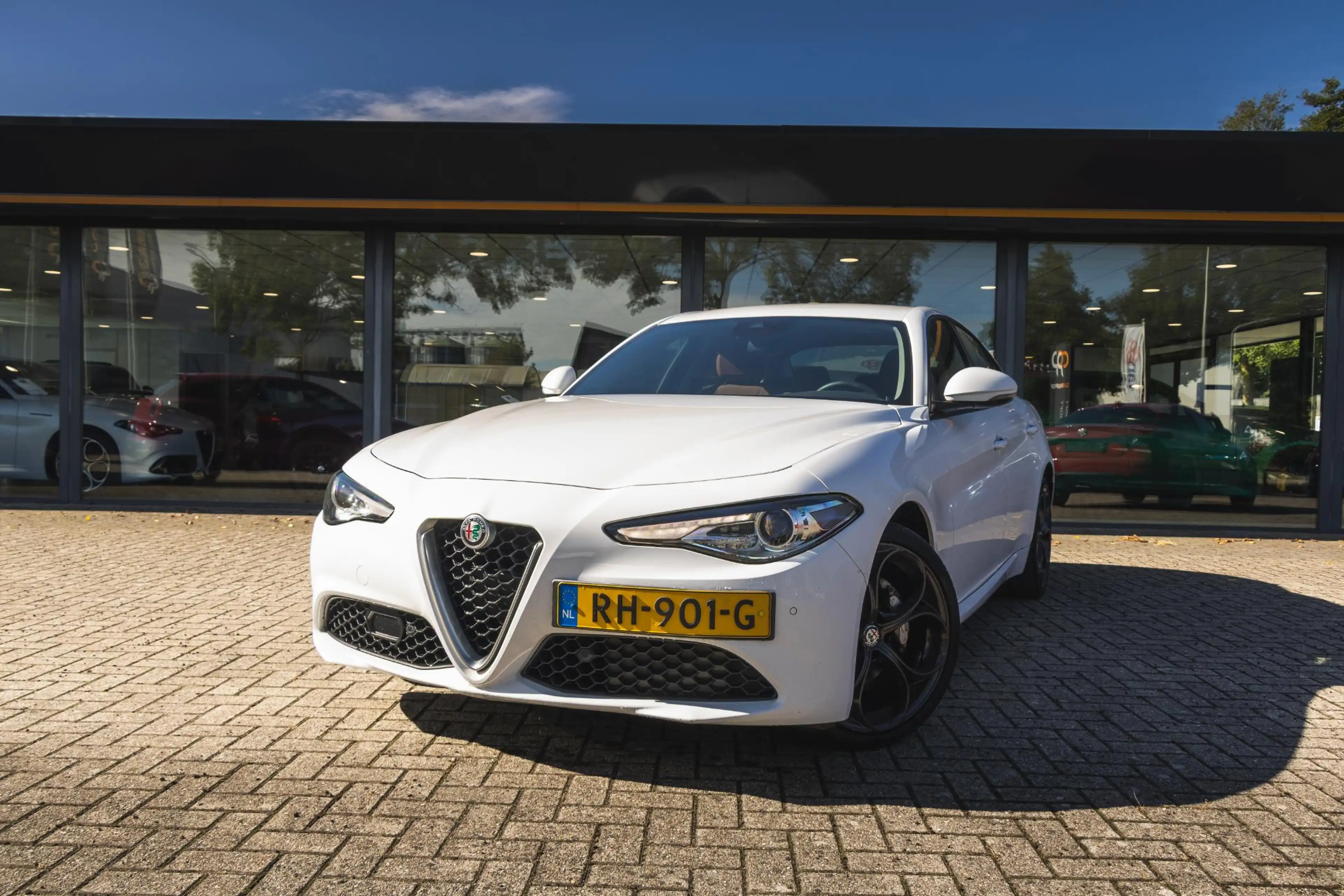 Alfa Romeo Giulia 2.2 Eco Business Super CAM. / FLIPPERS / 19'' — photo 3