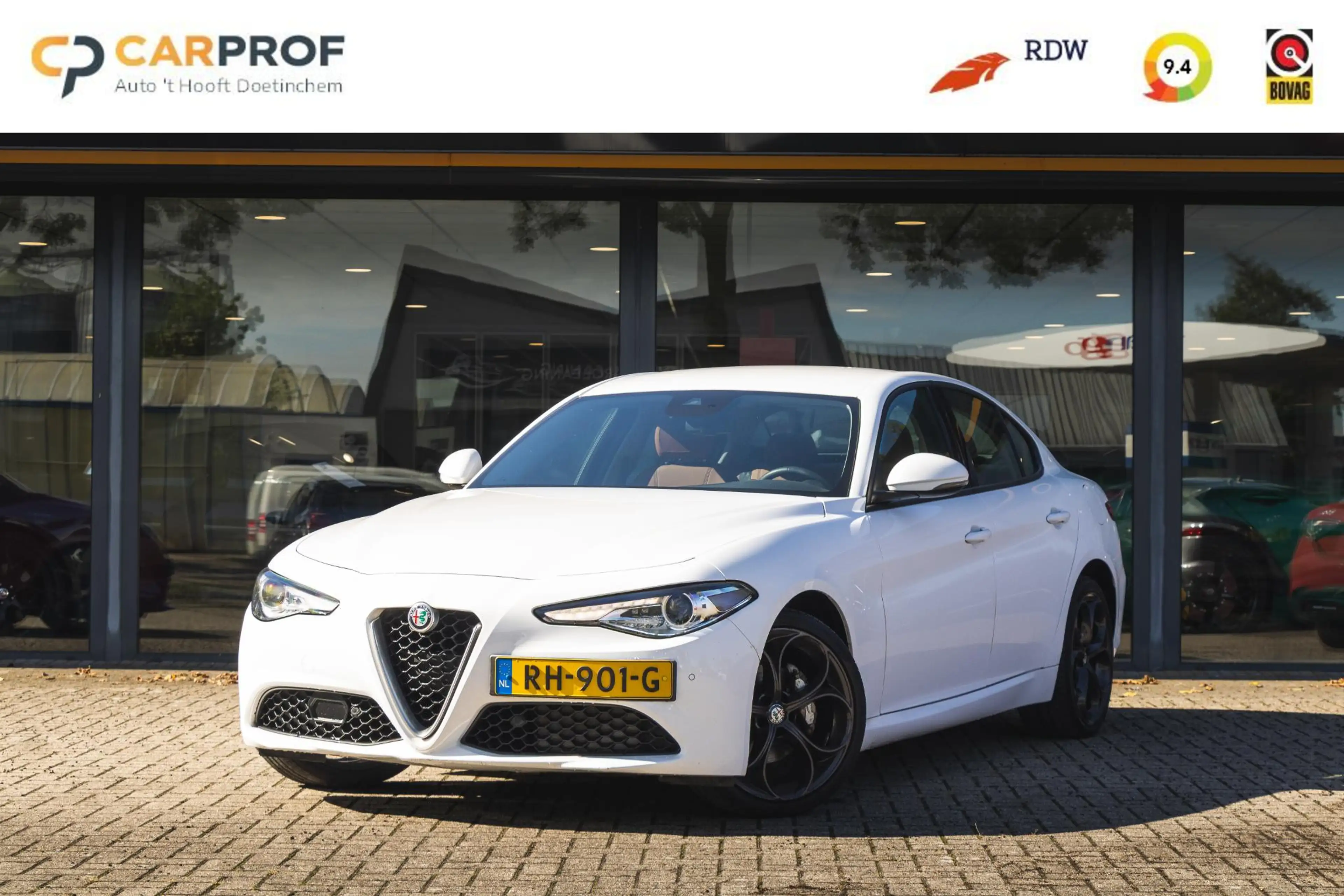 Alfa Romeo Giulia 2.2 Eco Business Super CAM. / FLIPPERS / 19''