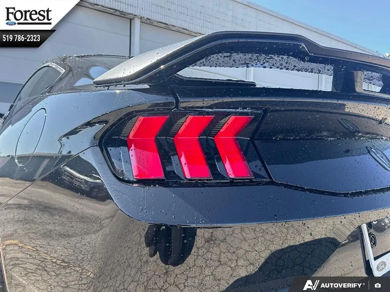 Ford Mustang снимка Ford Mustang