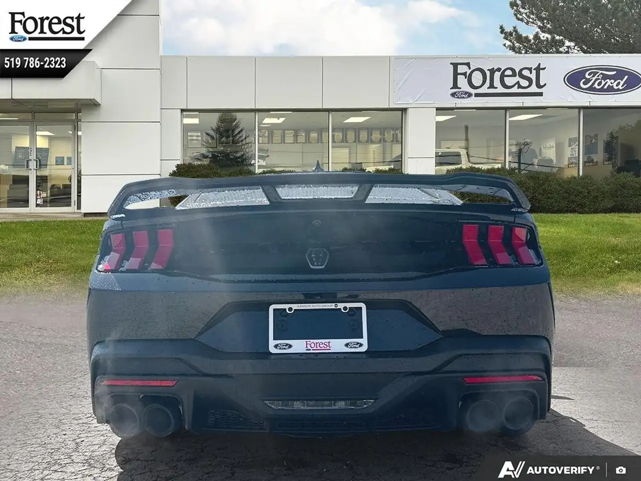 Ford Mustang снимка Ford Mustang