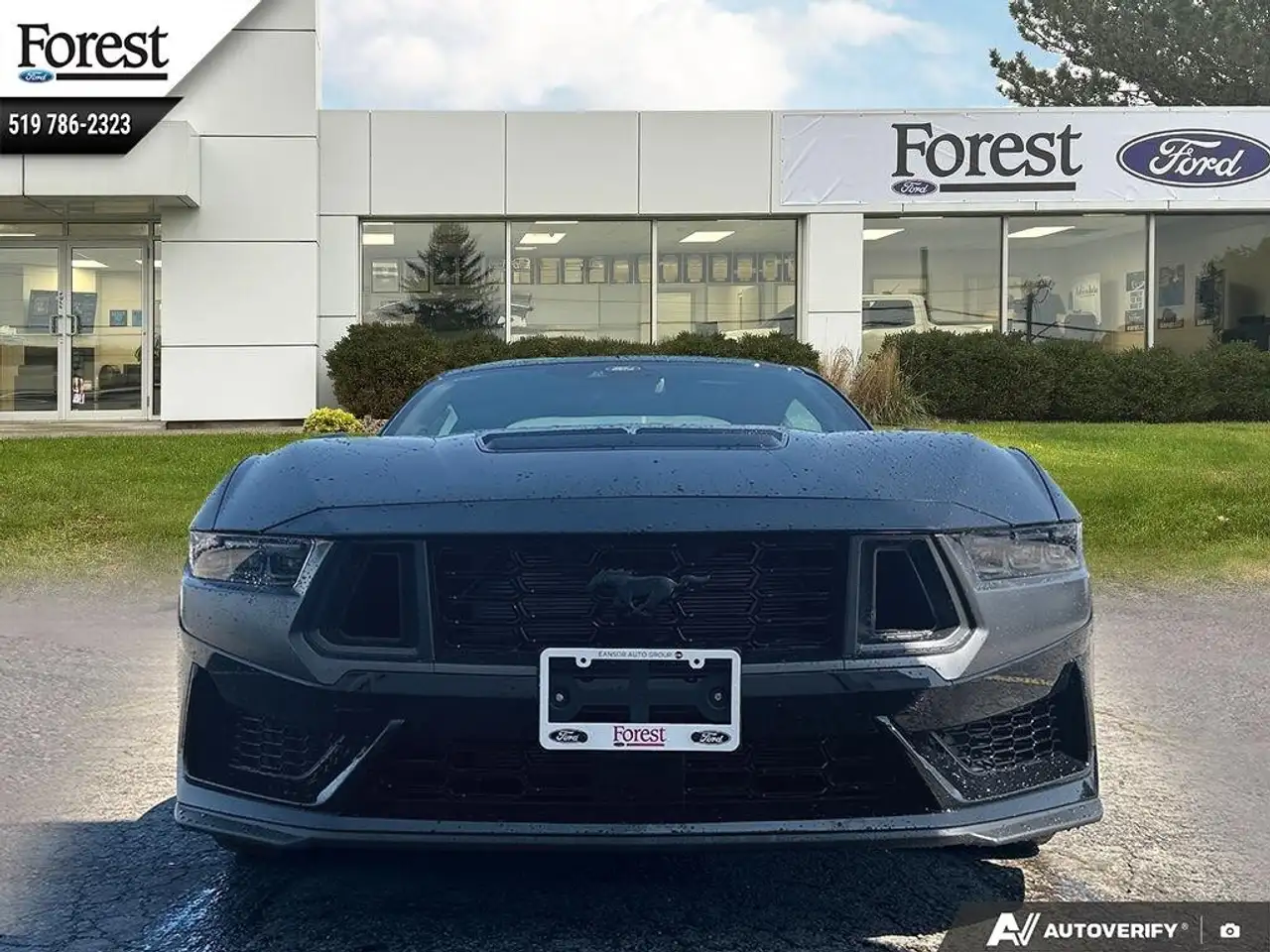 Ford Mustang снимка Ford Mustang