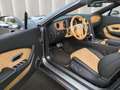 Bentley Continental Convertible Cab.*NAIM Nackenheiz Grau - thumbnail 5