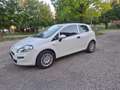 Fiat Punto MYSTYLE Weiß - thumbnail 3