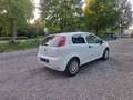 Fiat Punto MYSTYLE Weiß - thumbnail 7