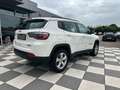 Jeep Compass Longitude 4WD,Navi,Autom,Lenkradheizung Weiß - thumbnail 7