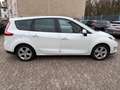 Renault Scenic III Grand Dynamique Weiß - thumbnail 7