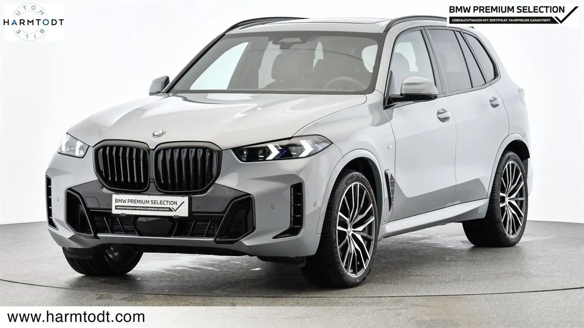 BMW X5 xDrive30d Grau - 1