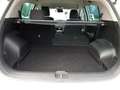 Kia Sportage 1.6 GDI DynamicLine | Navigatie | Camera | LM Velg Wit - thumbnail 31