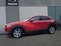 Mazda CX-30 e-SKYACTIV-G 140 FWD 6AT EXCLUSIVE Rot - thumbnail 2