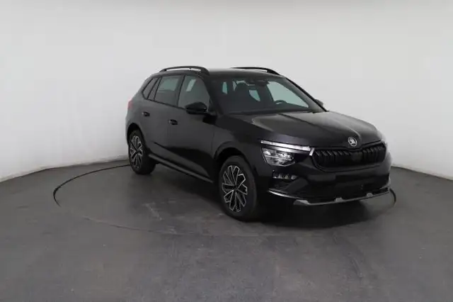 Skoda Kamiq view 10