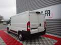Fiat Ducato FOURGON TOLE 3.0 C H1 2.0 MJT 115 EURO 6 PACK PRO Blanc - thumbnail 4