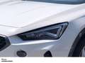 CUPRA Formentor TSI DSG EINPARKHILFE SITZHEIZUNG FULL-LINK Weiß - thumbnail 5