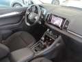 Skoda Karoq Karoq 1.5 tsi Executive Bianco - thumbnail 12