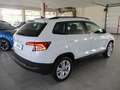 Skoda Karoq Karoq 1.5 tsi Executive Bianco - thumbnail 6