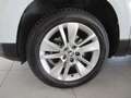Skoda Karoq Karoq 1.5 tsi Executive Bianco - thumbnail 11