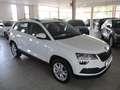 Skoda Karoq Karoq 1.5 tsi Executive Bianco - thumbnail 4