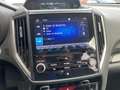 Subaru Forester 2.0i e-Boxer 150 pk Luxury AWD AUT. | eyesight | a Gris - thumbnail 21