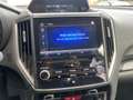 Subaru Forester 2.0i e-Boxer 150 pk Luxury AWD AUT. | eyesight | a Gris - thumbnail 25