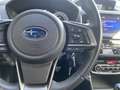 Subaru Forester 2.0i e-Boxer 150 pk Luxury AWD AUT. | eyesight | a Gris - thumbnail 26