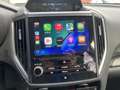 Subaru Forester 2.0i e-Boxer 150 pk Luxury AWD AUT. | eyesight | a Gris - thumbnail 27