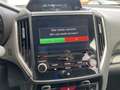 Subaru Forester 2.0i e-Boxer 150 pk Luxury AWD AUT. | eyesight | a Gris - thumbnail 23