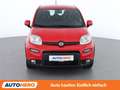 Fiat Panda 1.0 Mild-Hybrid Sport Rot - thumbnail 9