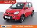 Fiat Panda 1.0 Mild-Hybrid Sport Rot - thumbnail 1