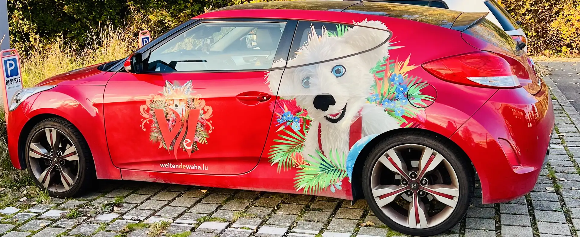 Hyundai VELOSTER - 2