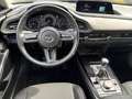 Mazda CX-30 Selection 2.0 M Hybrid Navi, LED, Kamera, Blauw - thumbnail 12