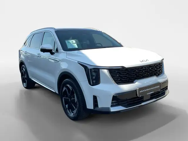Kia Sorento view 7