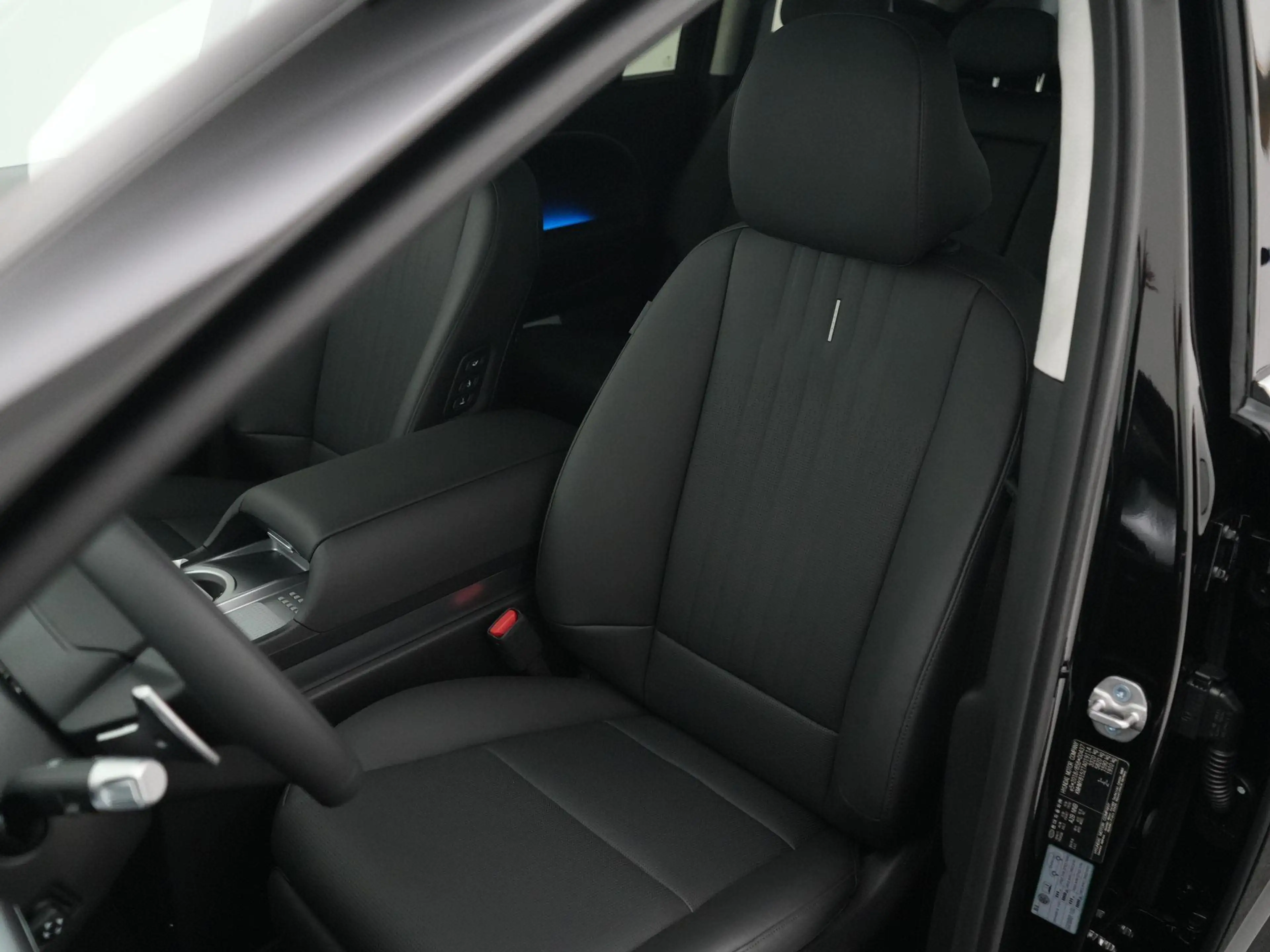 Hyundai IONIQ 9 Lounge AWD+ 7p. 110.3 kWh | Paasvoordeel | Panoram — photo 8