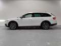Skoda Octavia Combi 2.0TDI Scout 147kW DSG 4x4 Blanco - thumbnail 4
