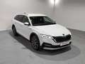 Skoda Octavia Combi 2.0TDI Scout 147kW DSG 4x4 Blanco - thumbnail 21