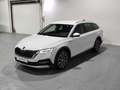 Skoda Octavia Combi 2.0TDI Scout 147kW DSG 4x4 Blanco - thumbnail 23