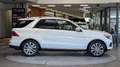 Mercedes-Benz GLE 250 d 4Matic *Ambiente*Kamera*Luftfahrwerk* Weiß - thumbnail 5