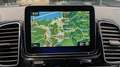 Mercedes-Benz GLE 250 d 4Matic *Ambiente*Kamera*Luftfahrwerk* Weiß - thumbnail 14