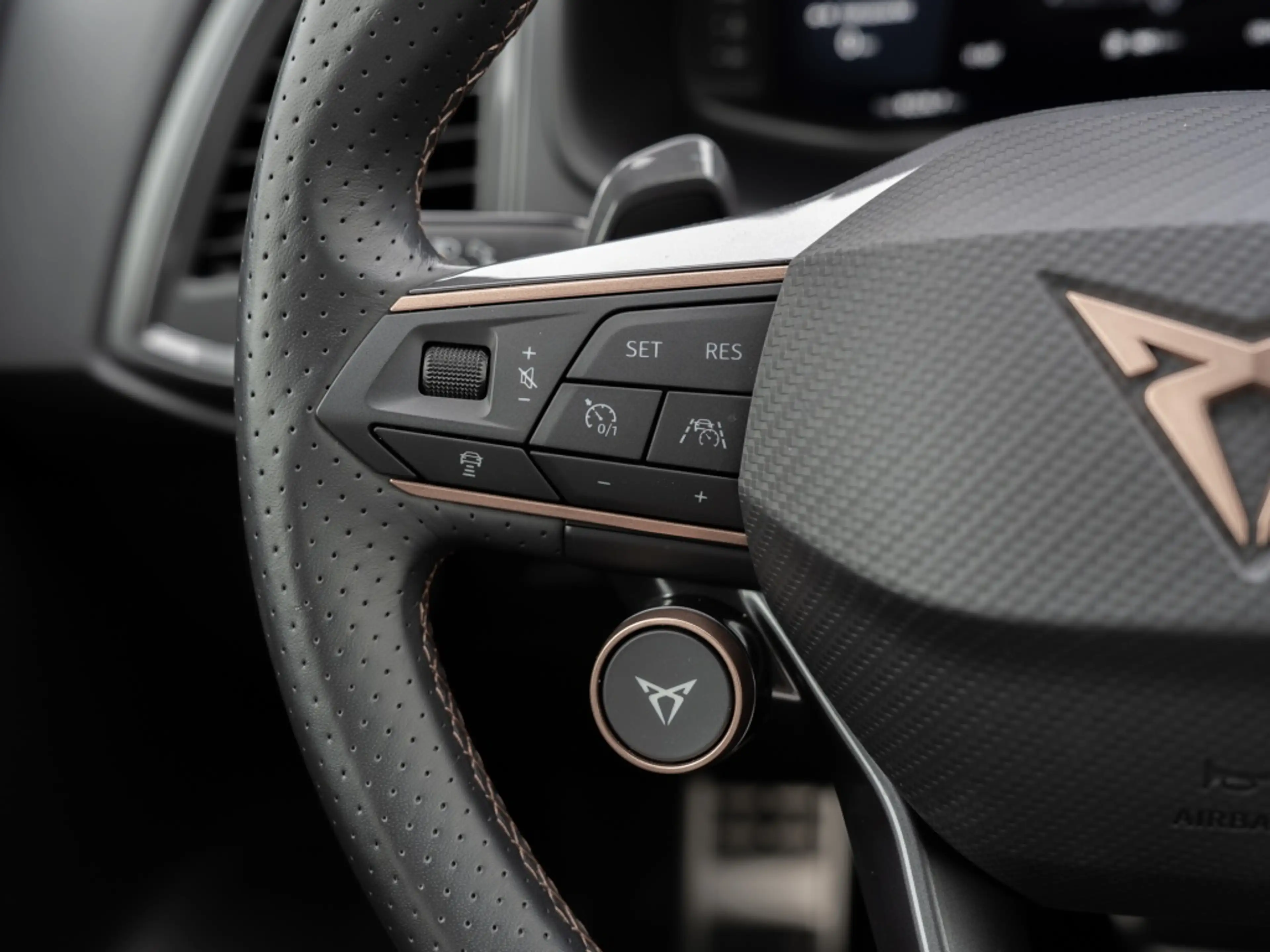 CUPRA Ateca 2.0 TSI VZ 4Drive OPF // MEMO 360 AHK SPUR — photo 14