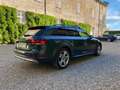 Audi A4 allroad 3.0 tdi Business 218cv s-tronic Verde - thumbnail 9