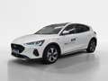 Ford Focus 1,5 EcoBlue Active X Aut. Weiß - thumbnail 1