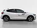 Ford Focus 1,5 EcoBlue Active X Aut. Weiß - thumbnail 6