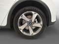 Ford Focus 1,5 EcoBlue Active X Aut. Weiß - thumbnail 18