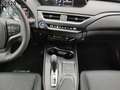 Lexus UX 300e Executive Paket Komfort-Paket ACC DynLi Blanc - thumbnail 9