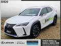 Lexus UX 300e Executive Paket Komfort-Paket ACC DynLi bijela - thumbnail 1