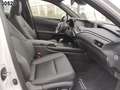 Lexus UX 300e Executive Paket Komfort-Paket ACC DynLi Fehér - thumbnail 6